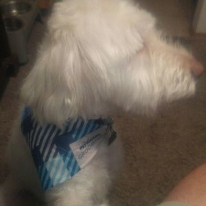 Meet your Posher, Eric